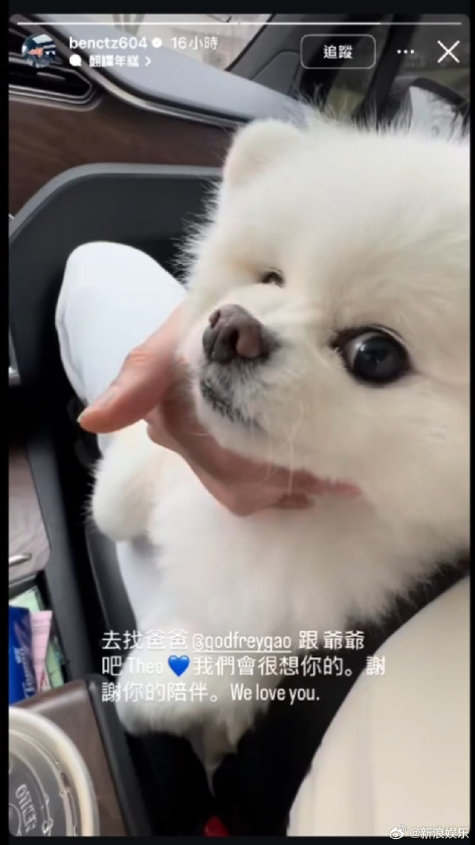 高以翔狗狗去世 近日，高以翔朋友在社交平台发文称他的狗狗帝欧Theo去世了：“去
