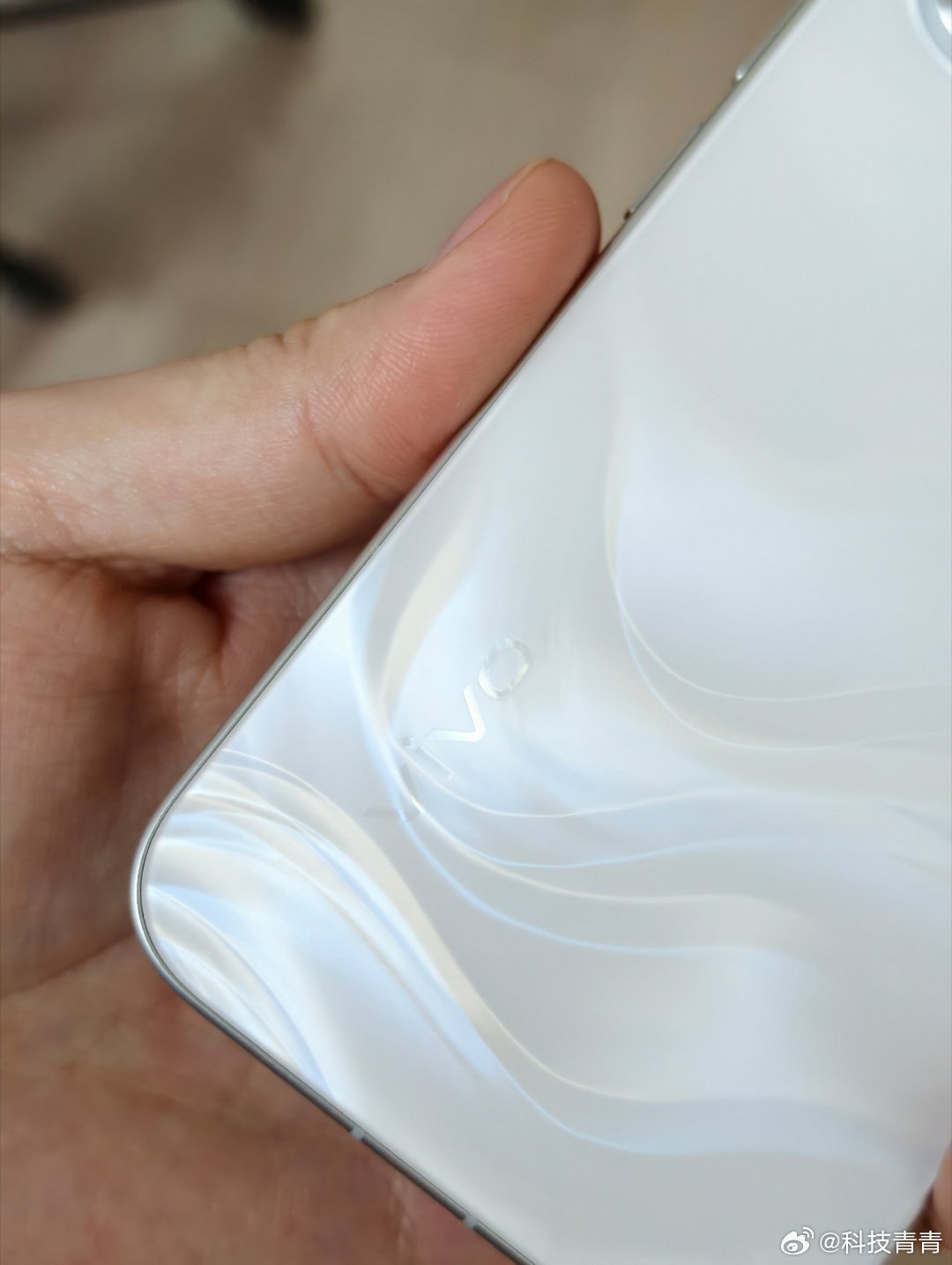 看到阿蓝新款超大杯上银调那个颜色，让我想到了S系列上告白这个背部的处理，有点类似