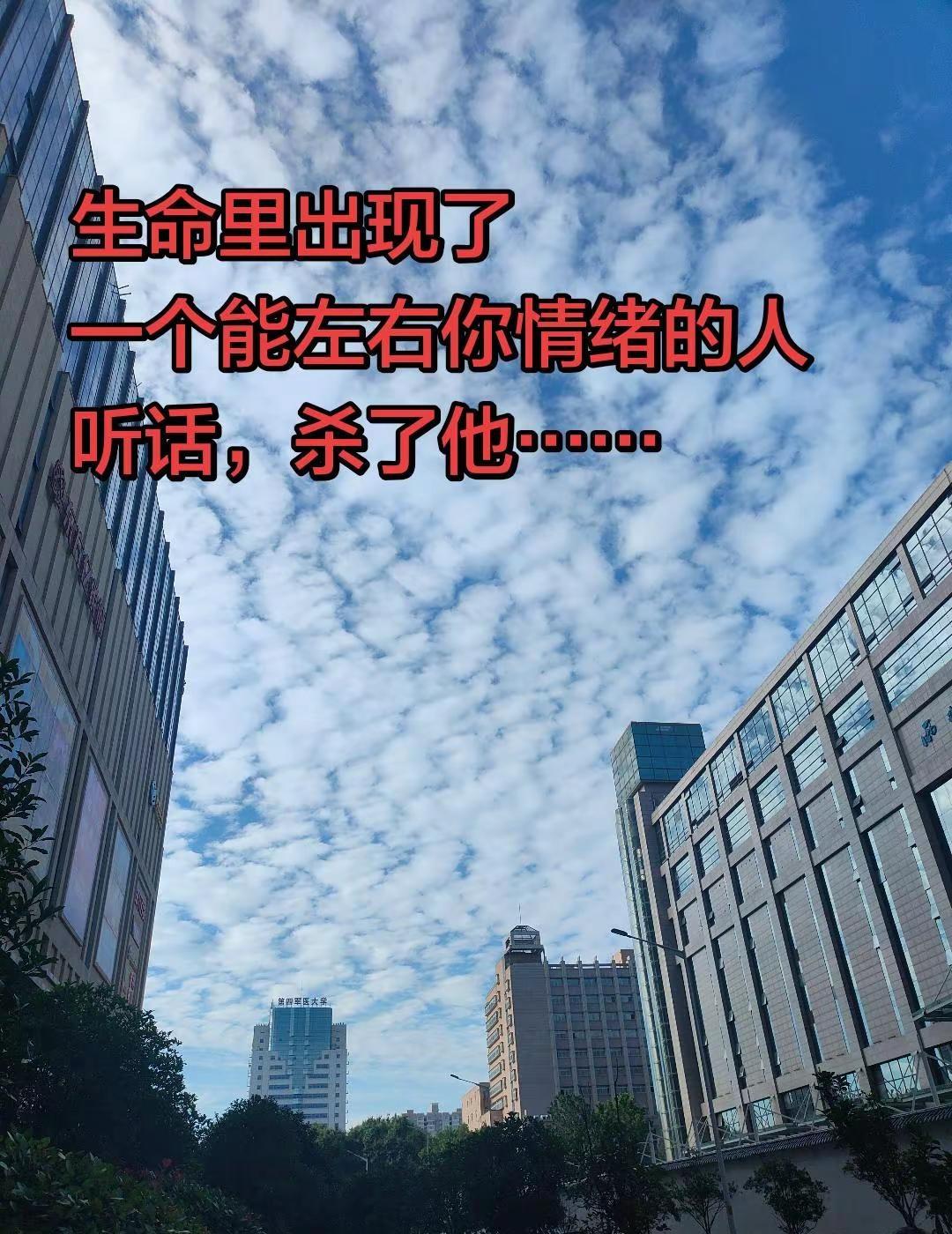 生命里出现了一个能左右你情绪的人，听话，杀了他……情绪稳定才是真自由！🌤️🏙
