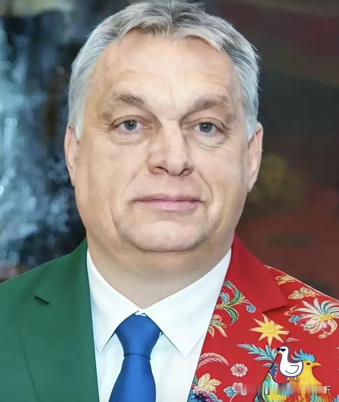 匈牙利传来消息
4月12日，匈牙利政坛变天。毛焦尔·彼得领导的蒂萨党大获全胜，拿