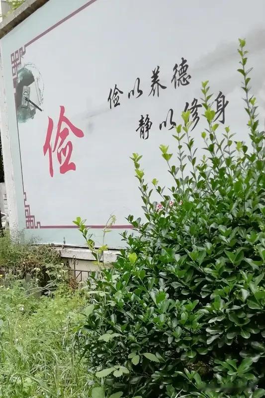 俭以养德，养的是心神，合的是大道。

静以修身，俭以养德；淡泊明志，宁静致远。