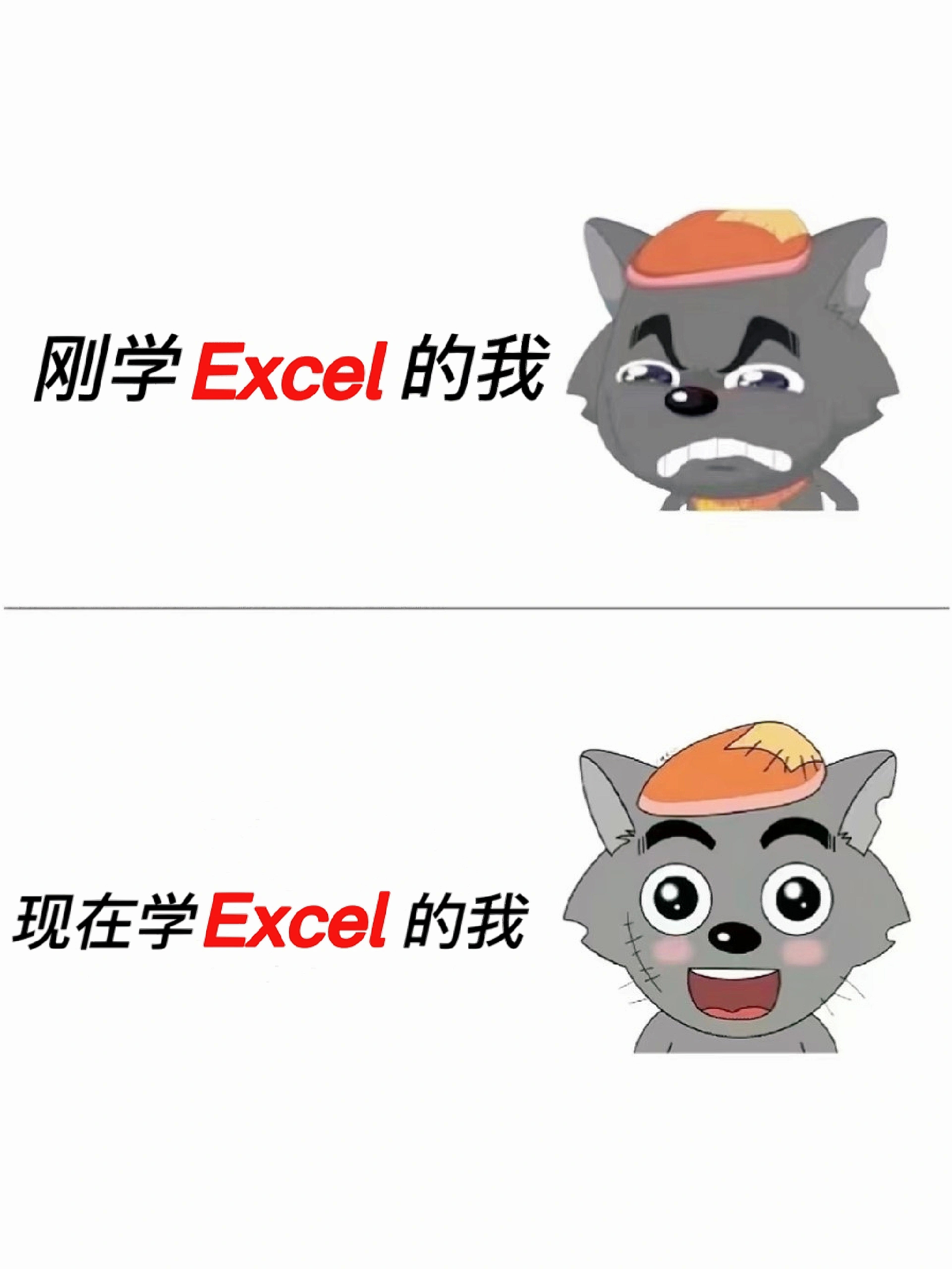 哭了！为什么我学Excel的时候没人整理呀 ​​​