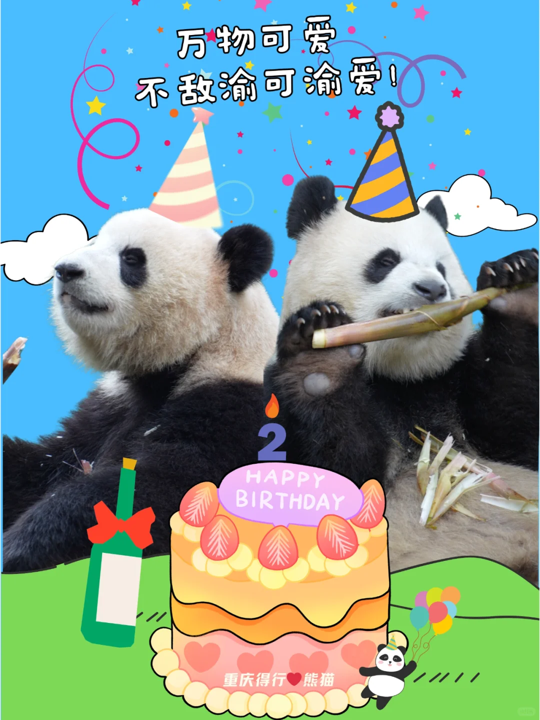 万物可爱，不敌渝可渝爱，两周岁生日快乐！