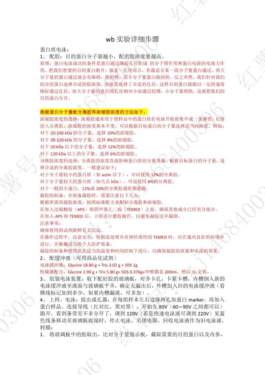 实验小白系列-wb实验全程实操