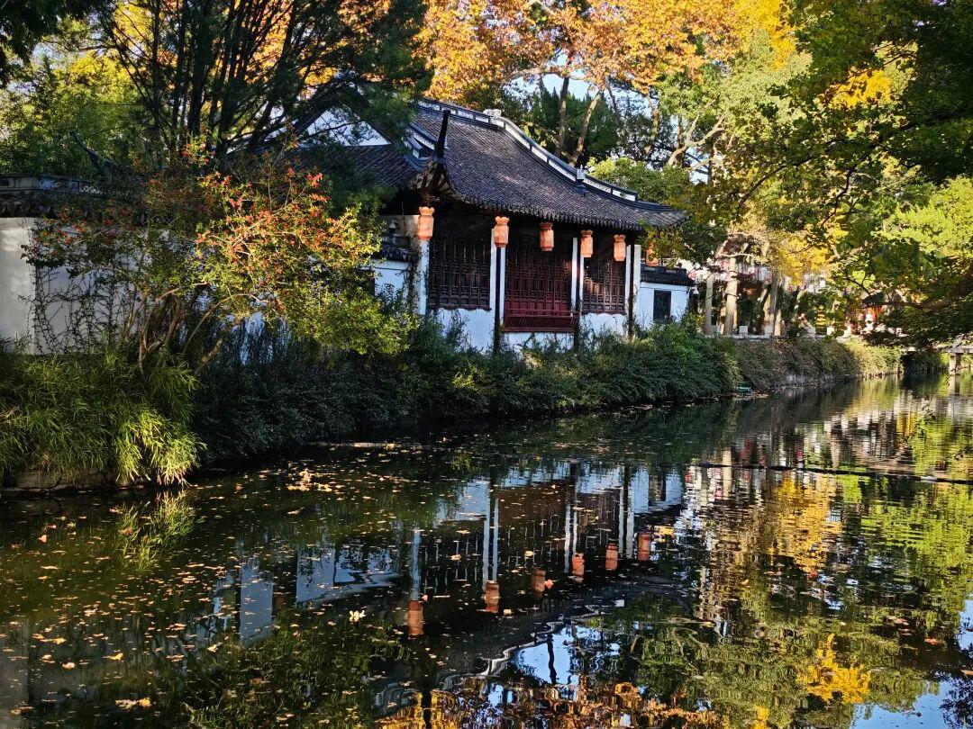 分享一张最近随手拍的照片最美还是青浦曲水园:古典雅致，静谧怡人。