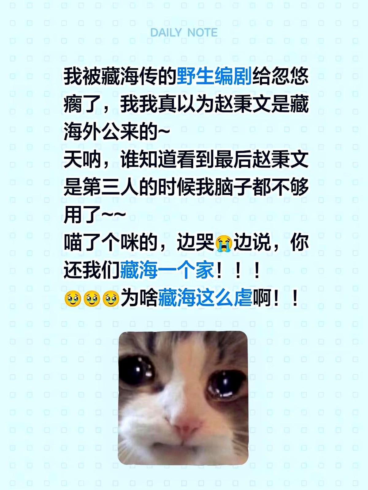 《藏海传》中一次剧透翻车，让很多人震惊。

原本观众以为赵秉文是藏海的外公，结果