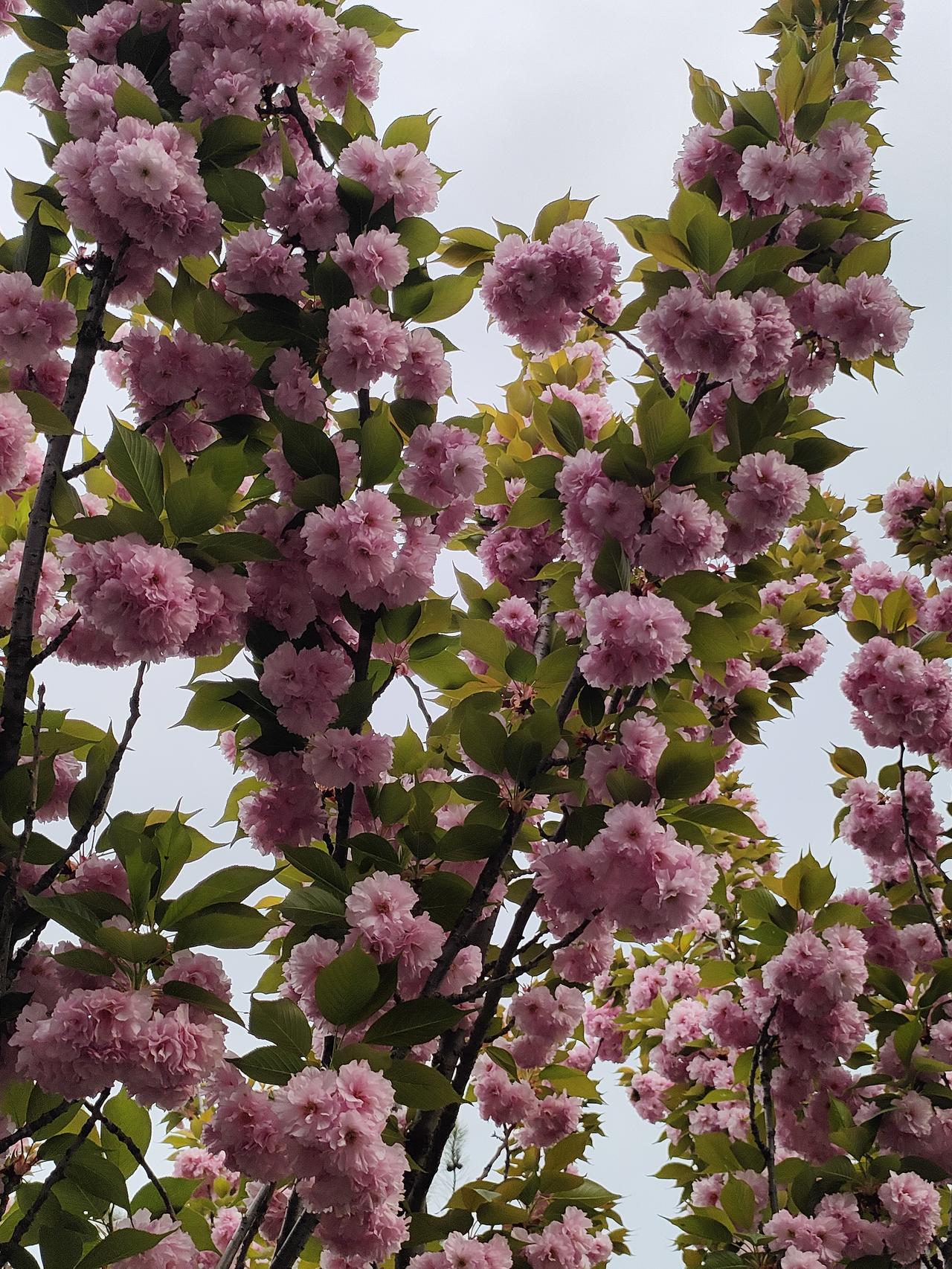 因人而且，不应该一刀切，子女应尊重老年的习惯，不要管的大宽，大家觉得呢？