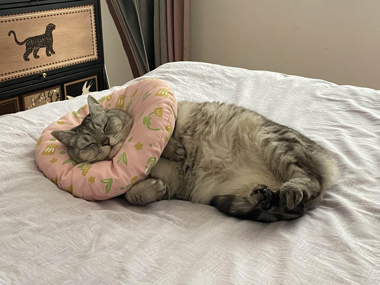 河南叫妮或者妞