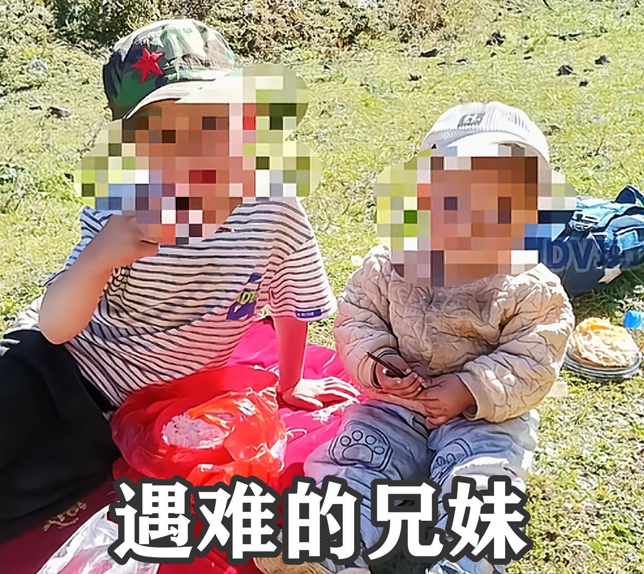云南，兄妹玩耍遭胡蜂蜇死，挖出的细节：
 
1、胡蜂是私养的，用来卖蜂蛹牟利，林