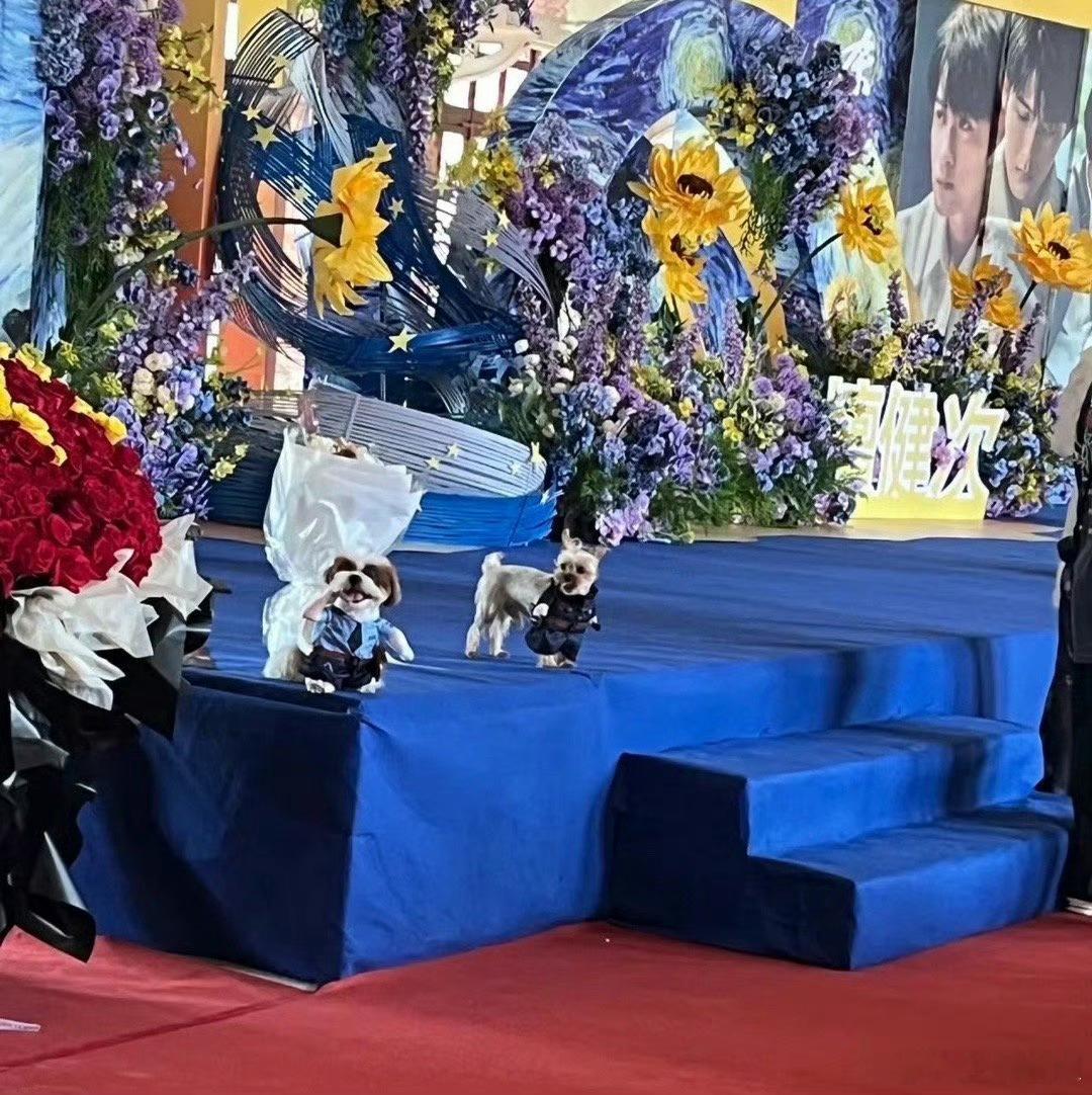 #檀小呆檀力球来接檀健次杀青##檀小呆檀力球来接檀健次下班# 啊啊啊啊啊太可爱了