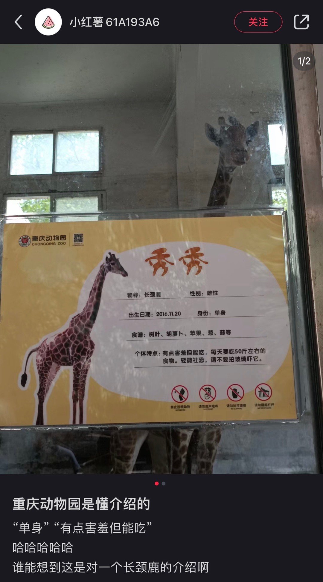 重庆动物园是懂介绍的 ​​​