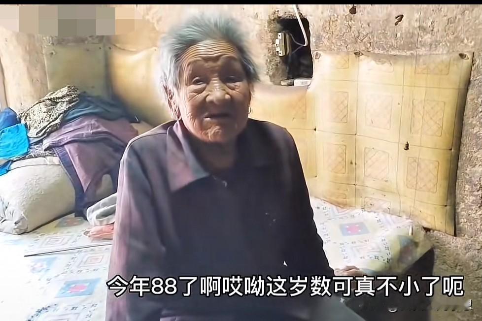四棵白菜吃了一个冬天，胳膊脱臼忍耐了三年，养了九个儿女却无人问津老人的生活！
