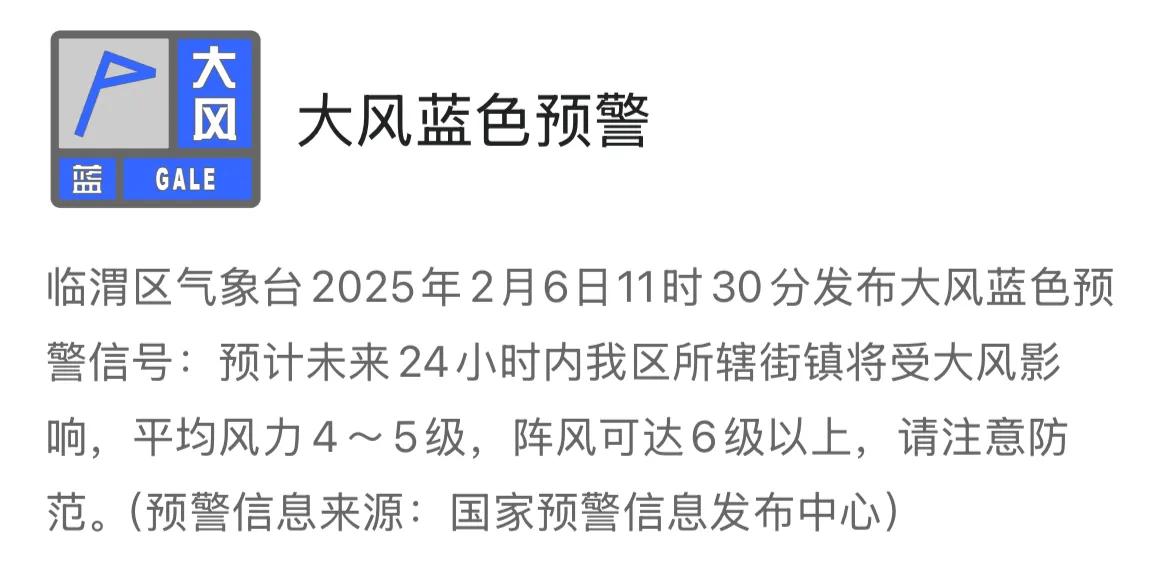 临渭区气象台2025年2月6日11时30分发布大风蓝色预警信号：预计未来24小时