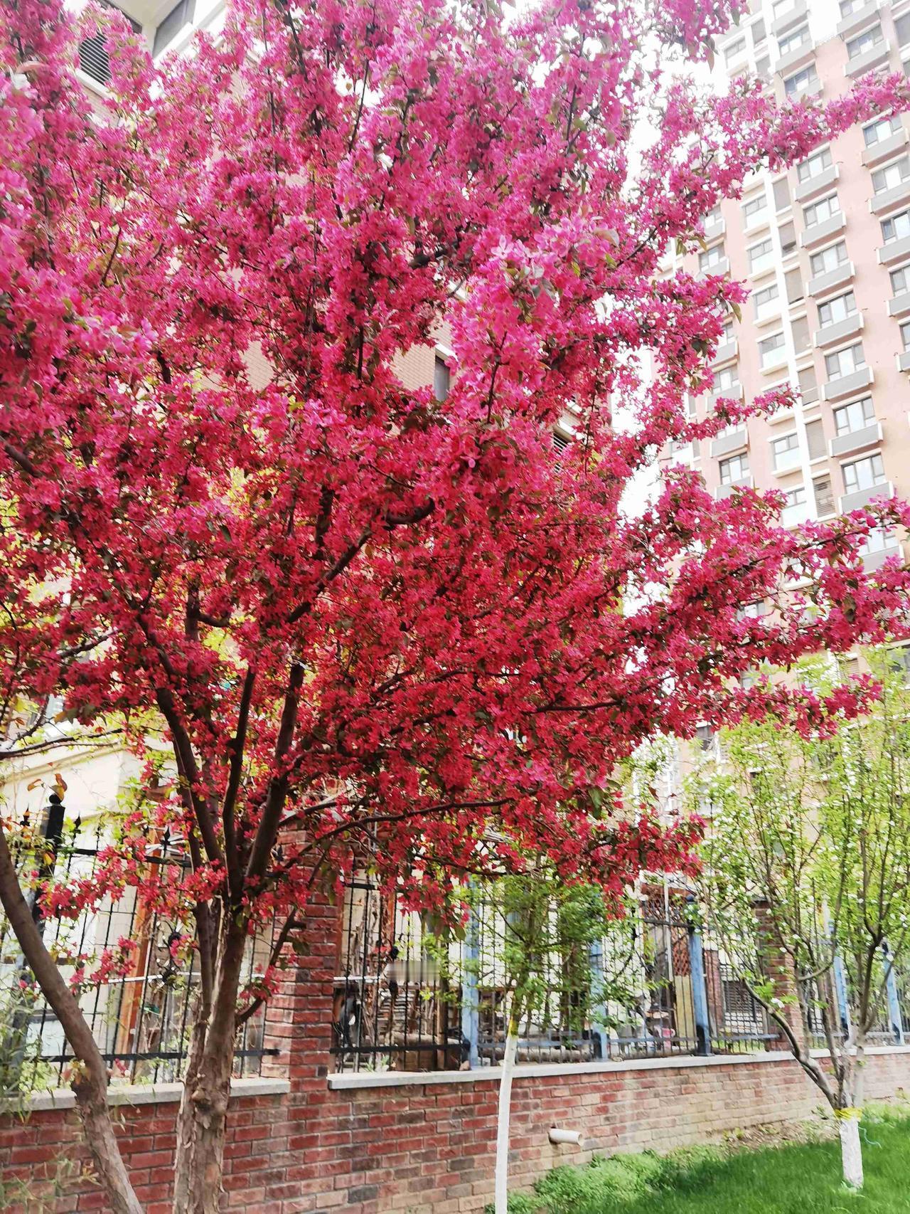 我的今日状态：😁轻松愉快
我这里的天气：☀️晴天