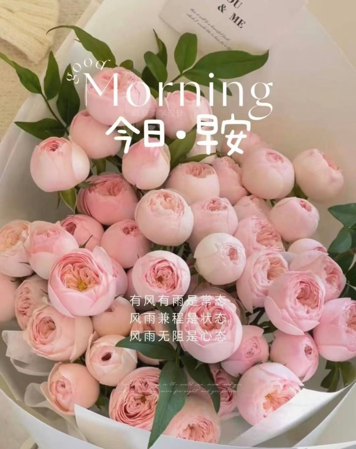 醒来迎接新的一天，愿心情如玫瑰花一样热烈怒放，周日了，放空自己，抛下烦恼，带上笑
