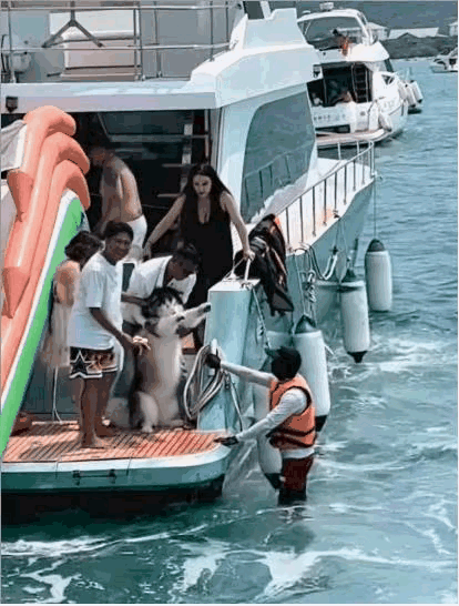 图1：修狗：没有必要吧？我又不想玩，你们何必呢？