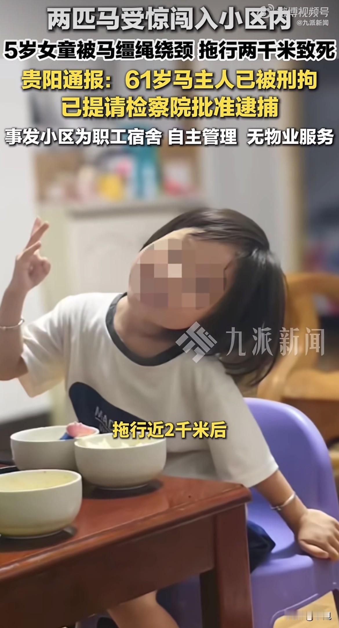 我刷到这条新闻的时候，正在吃晚饭。

筷子放下来了，饭凉了也没再吃一口。

贵阳