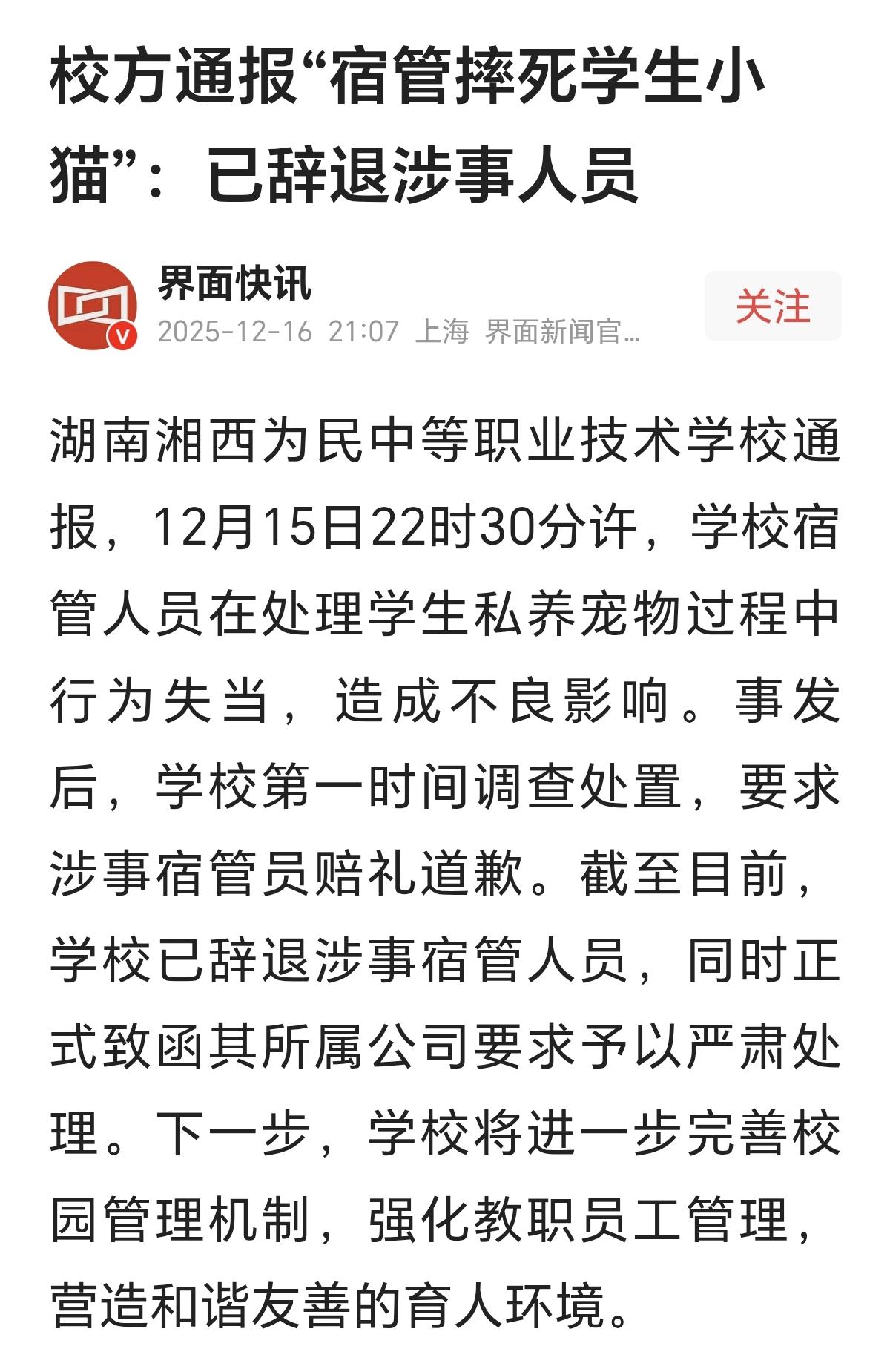 “太可怜了！”一只小奶猫被一职校男生带进宿舍，没想到它竟因此失去了生命，而校方对