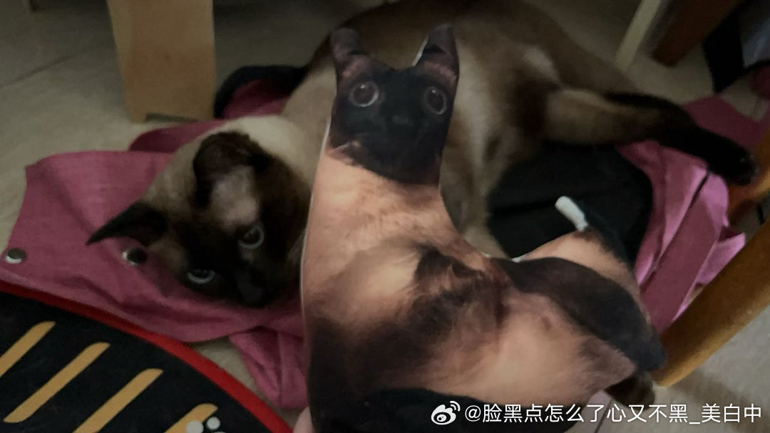早安逼罗