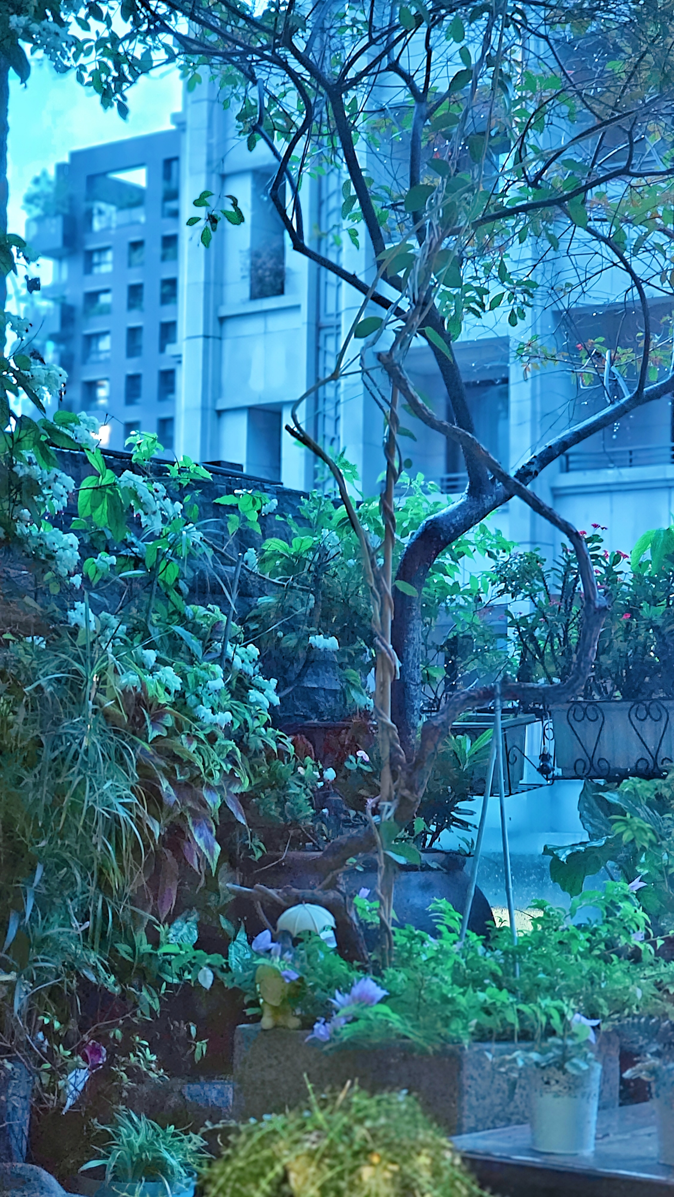 外頭雨聲綿綿，設計的筆依然不停，但我決定在家給自己一份小確幸。一鍋溫暖的肉丸蔬菜