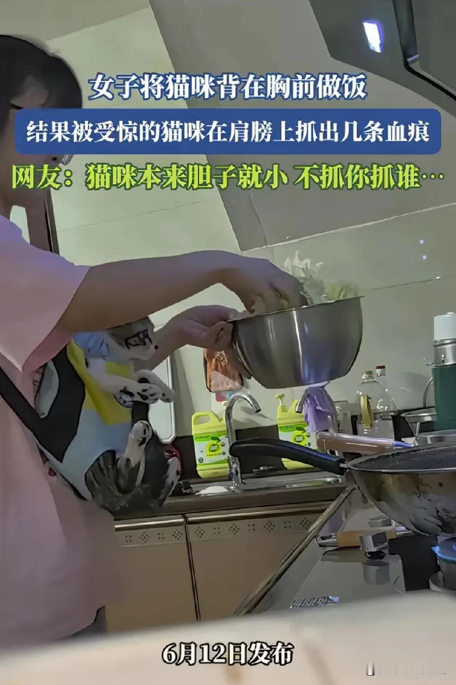 女人把猫当孩子养，结果猫咪受惊吓把她给抓了。女人单身不结婚，养了一只猫咪，平时把