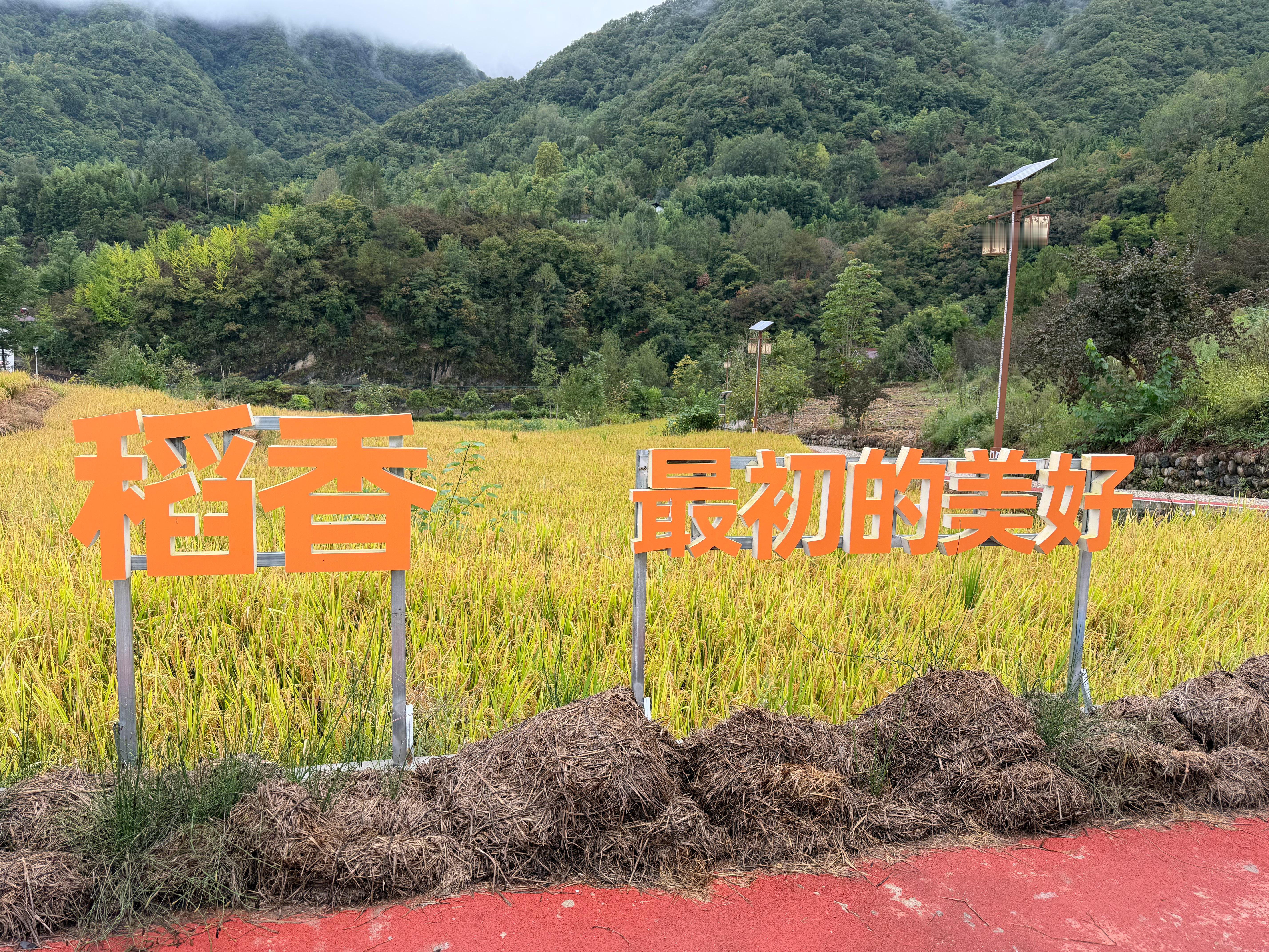 一粥一饭，常思来之不易半丝半缕，恒念物力维艰争做一粒好的种子 优质网络主播看中国