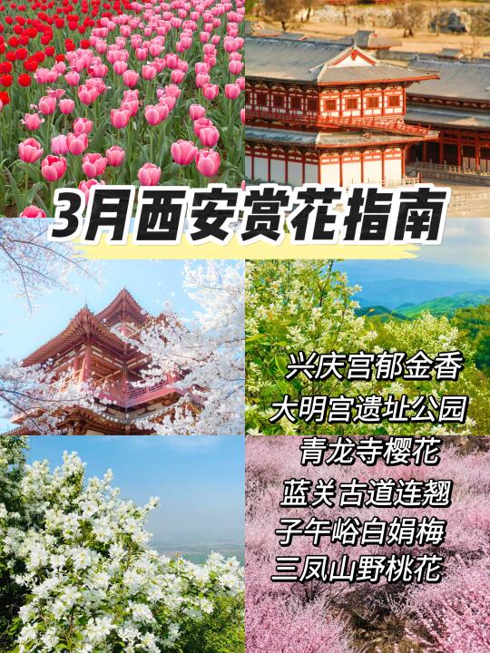 3月西安保姆级赏花🌸指南  码住收藏🌟