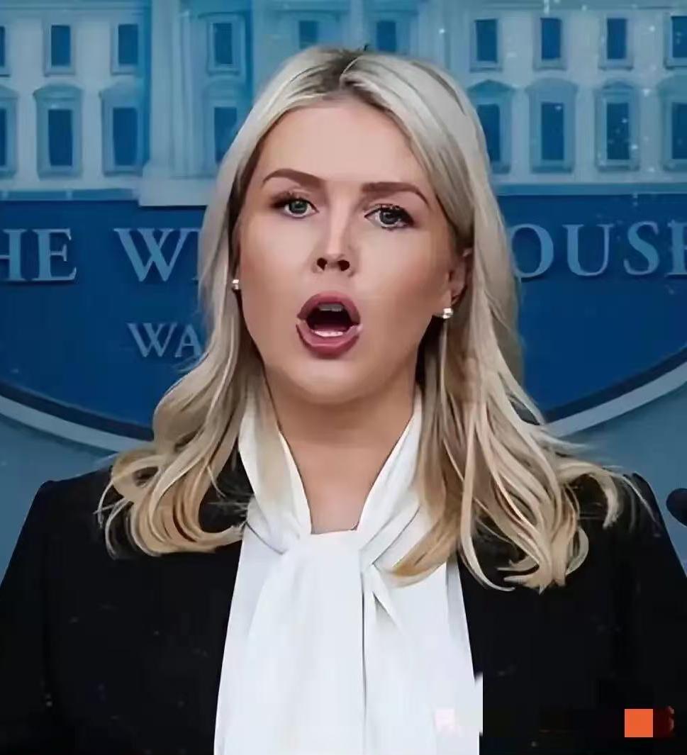 28岁白宫女发言人怀二胎，挺着孕肚扛高压工作太拼

又怀上了。
白宫美女发言人莱