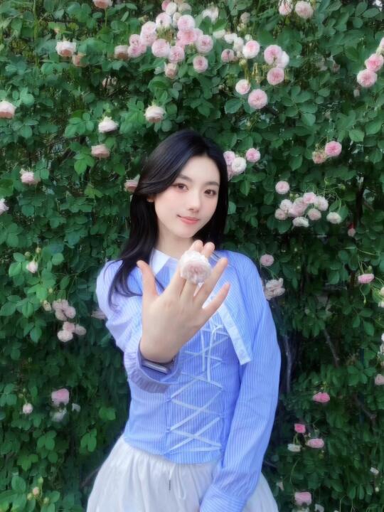 送你一朵花•ᴗ•
