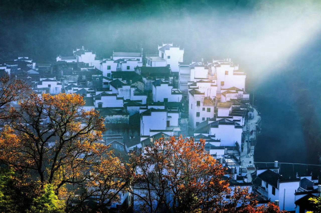 11月的长溪村，俨然一幅五颜六色的油画！         山间飘渺着朦胧晨雾，黄