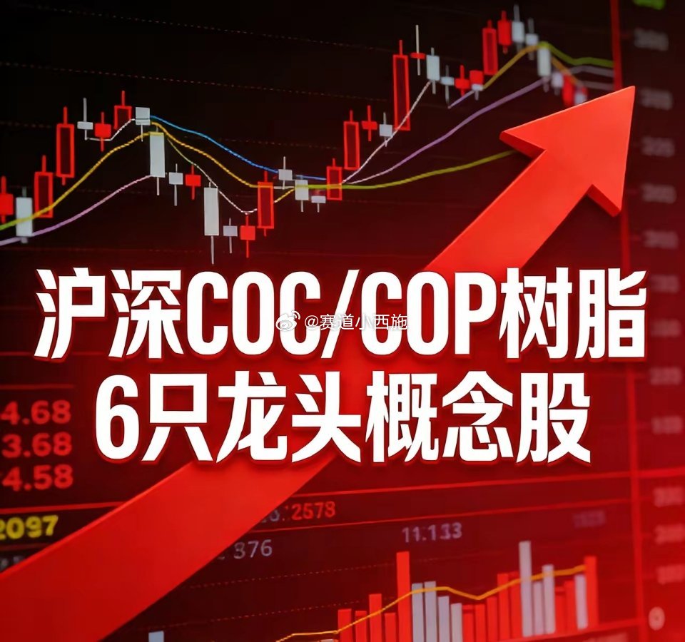 沪深COC/COP树脂 6只核心龙头1. 阿科力（603722）- 行业地位：国