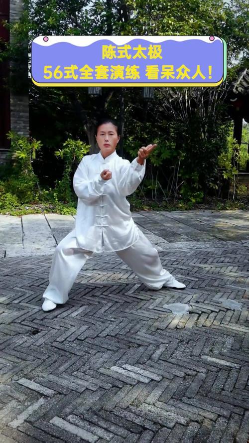 在太极拳的世界里，陈式太极拳以其独特的刚柔并济、缠绕缠绵的韵味，吸引着无数武术爱