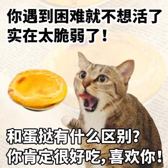 来做小猫心灵spa