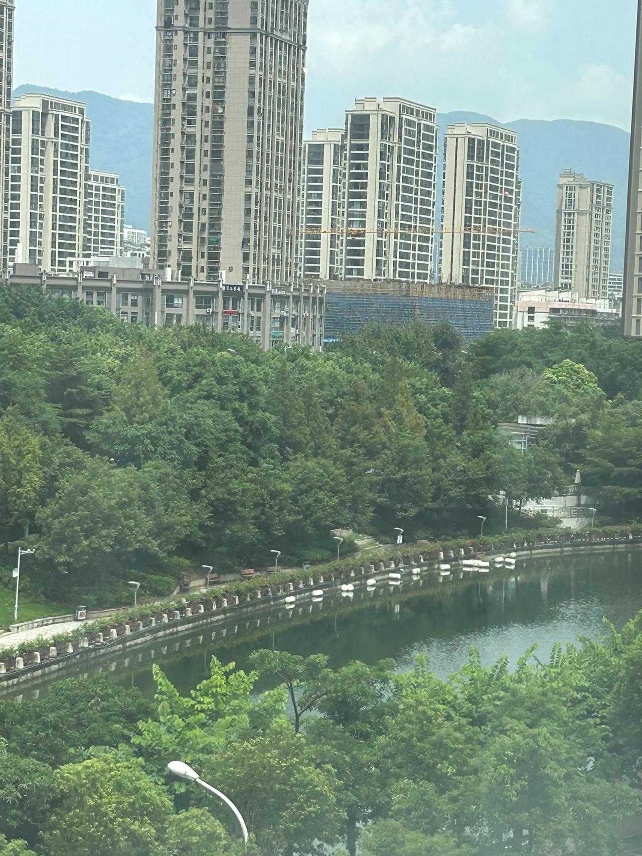 #全红婵的言行举止是不是该被说说?#天才在某方面特别突出，往往在其他某方面逊色，