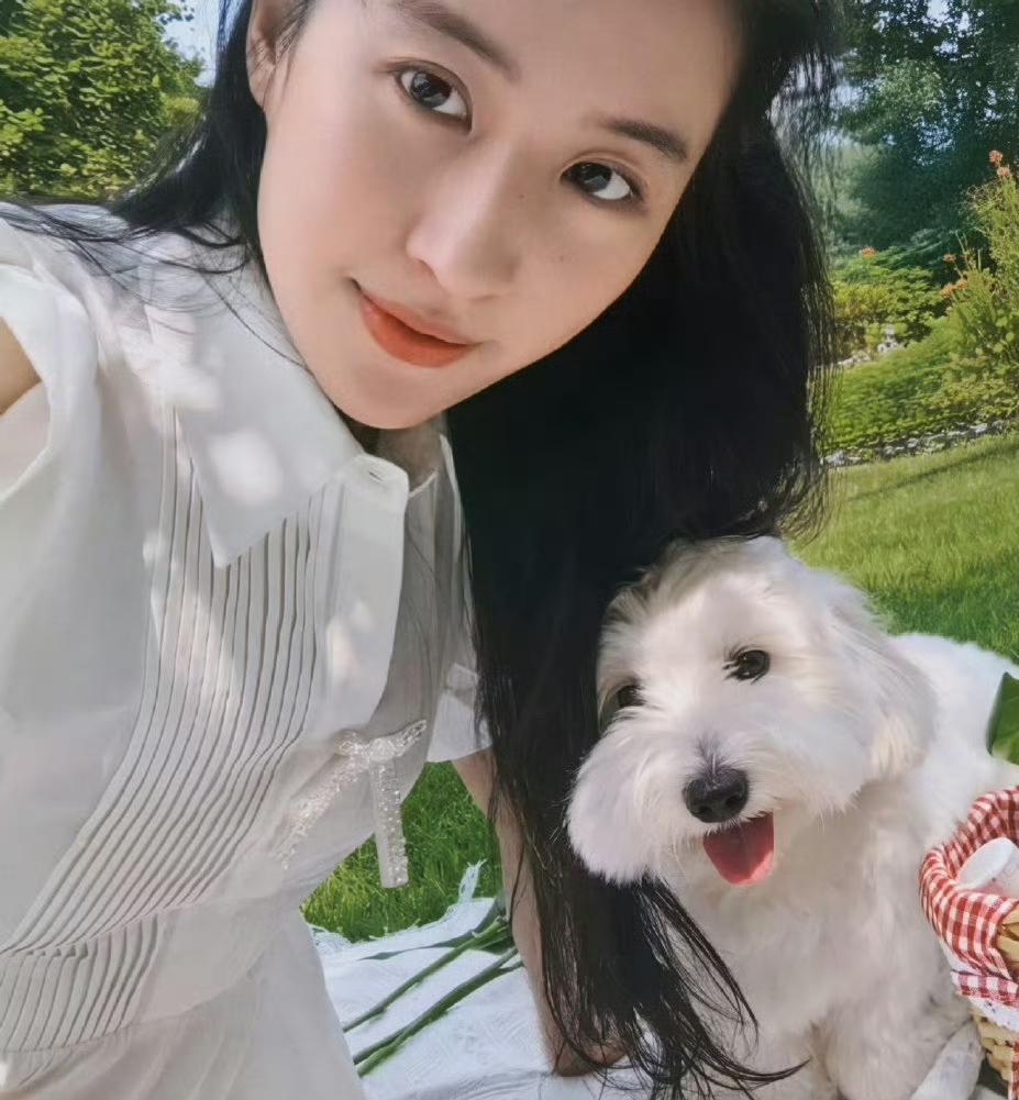 终于明白刘亦菲为什么不谈男朋友了，
原因很简单，
刘亦菲今年已经38岁了，事业上