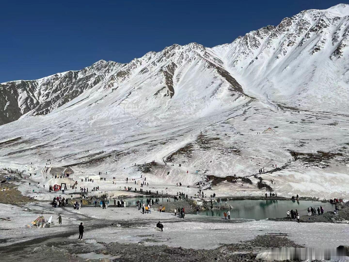 生命树是青海最强文旅宣传片原来最好的宣传不是告诉你多美，而是让你看见谁在守护这片