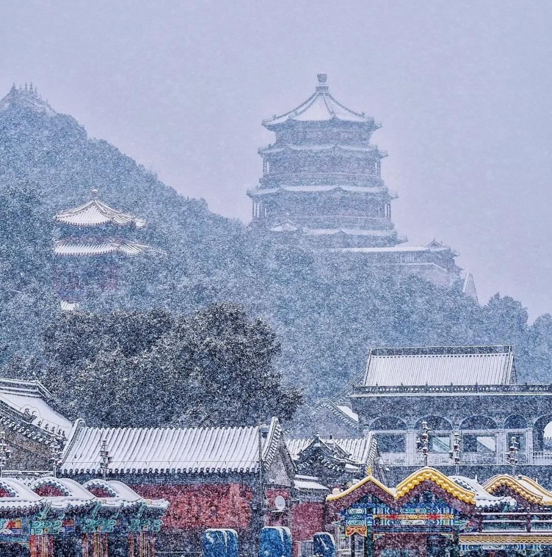 终于！北京今冬的第一场雪，下得真叫一个“冒烟儿”。风赶着雪横着飞，天地白茫茫一片