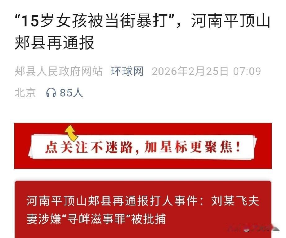 河南平顶山那对涉案夫妻已被批捕，案由是涉嫌寻衅滋事！
同时，当地警方公布了一个细
