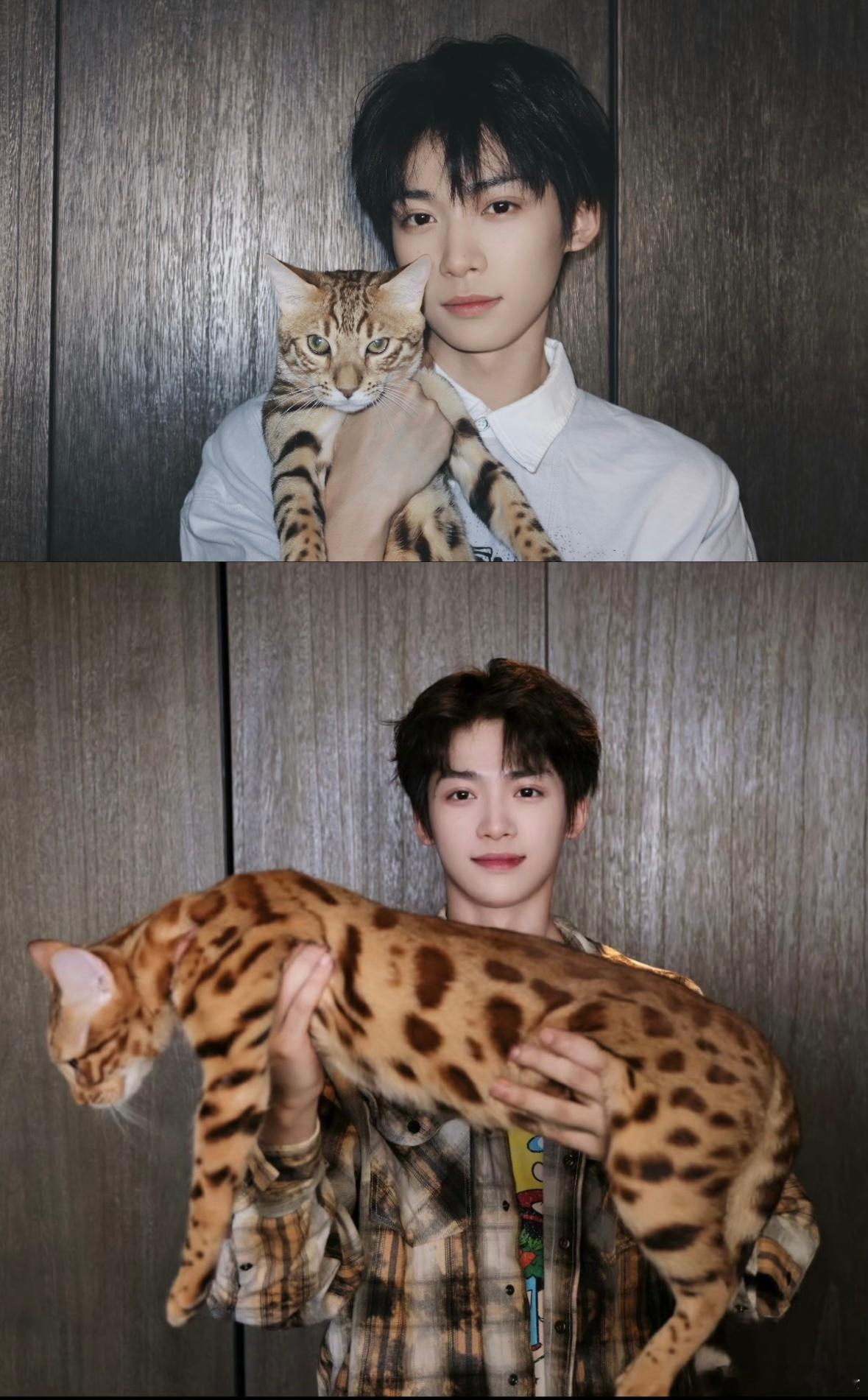 梓渝晒猫～时间的参照物，大鱼这个胖咧梓渝