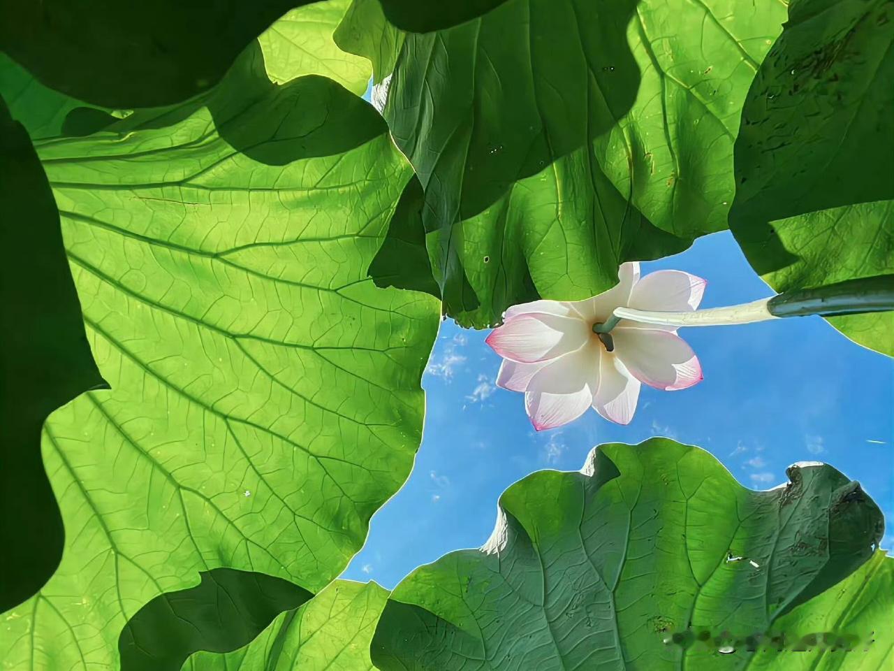 夏日生活打卡季