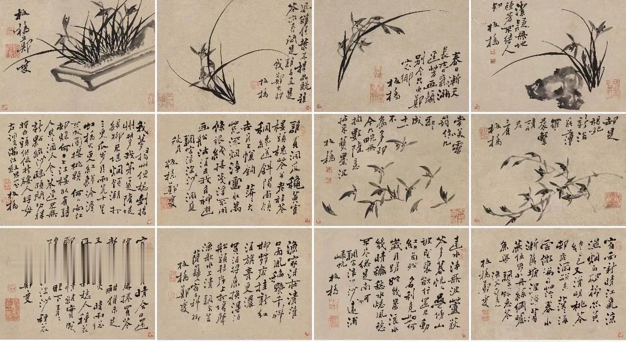 郑板桥《兰花册》，疏朗劲峭
 