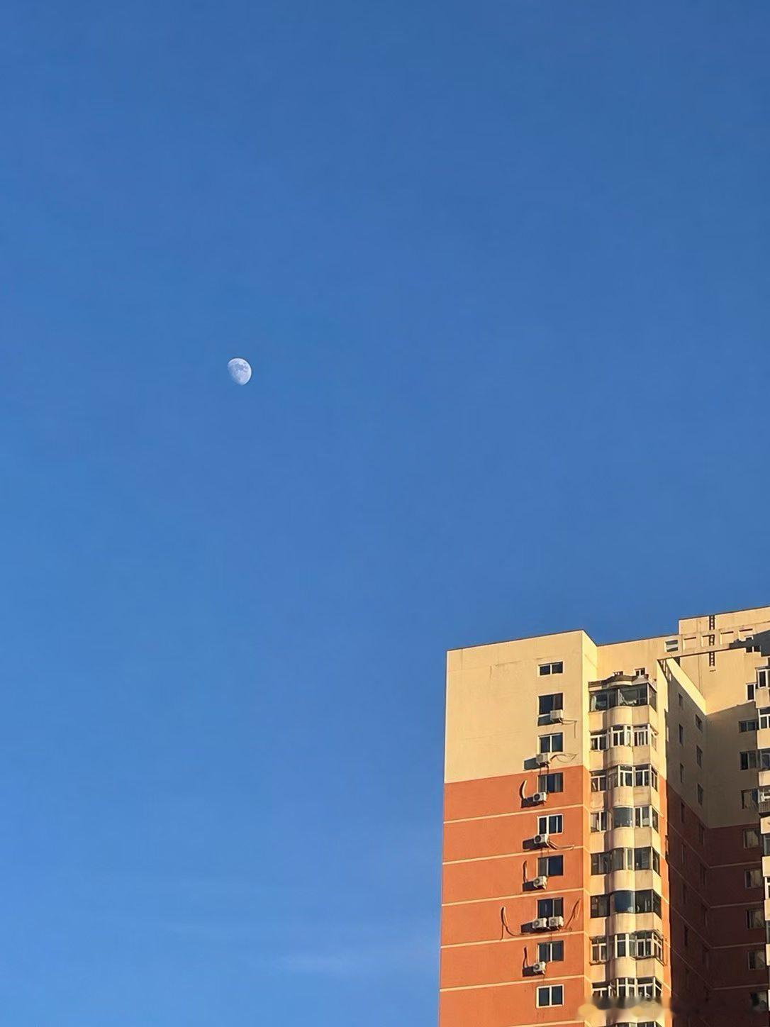 今天天很蓝，月亮也清晰可见 