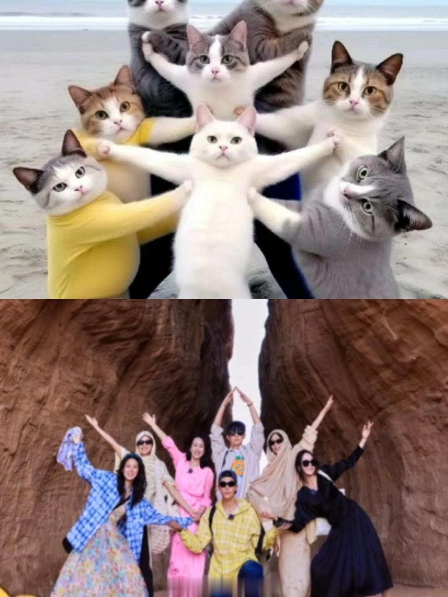 这……真的很难评哈哈哈哈哈哈哈哈哈哈哈哈哈哈哈哈哈对不起，我已经被他们各种花式拍