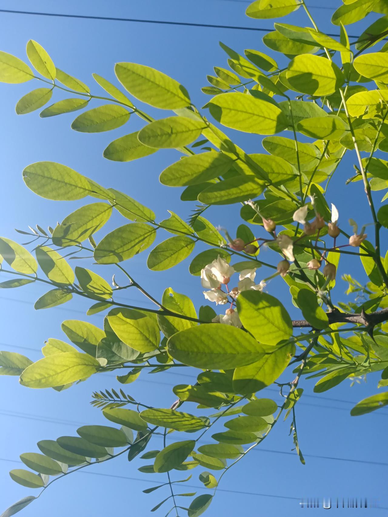 节假日综合症！

短短几天假期，游山玩水，大山大河太壮阔了，景色太迷人了！心情也