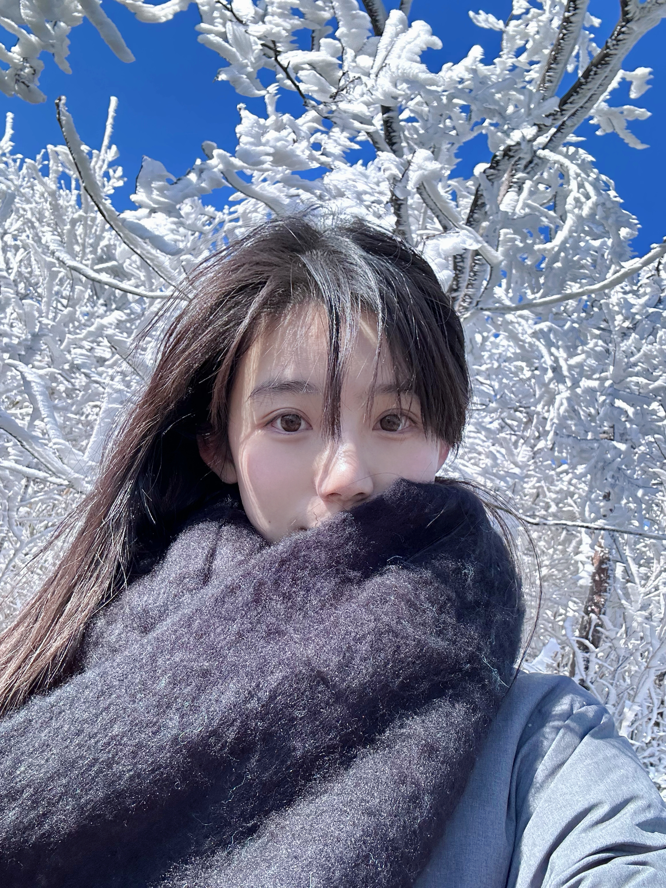 看了山上的雾凇 ​​​