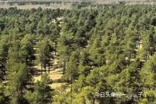 曾经被叫做“死亡之海”的塔克拉玛干沙漠，如今悄悄完成了身份逆袭。根据发表在国际顶