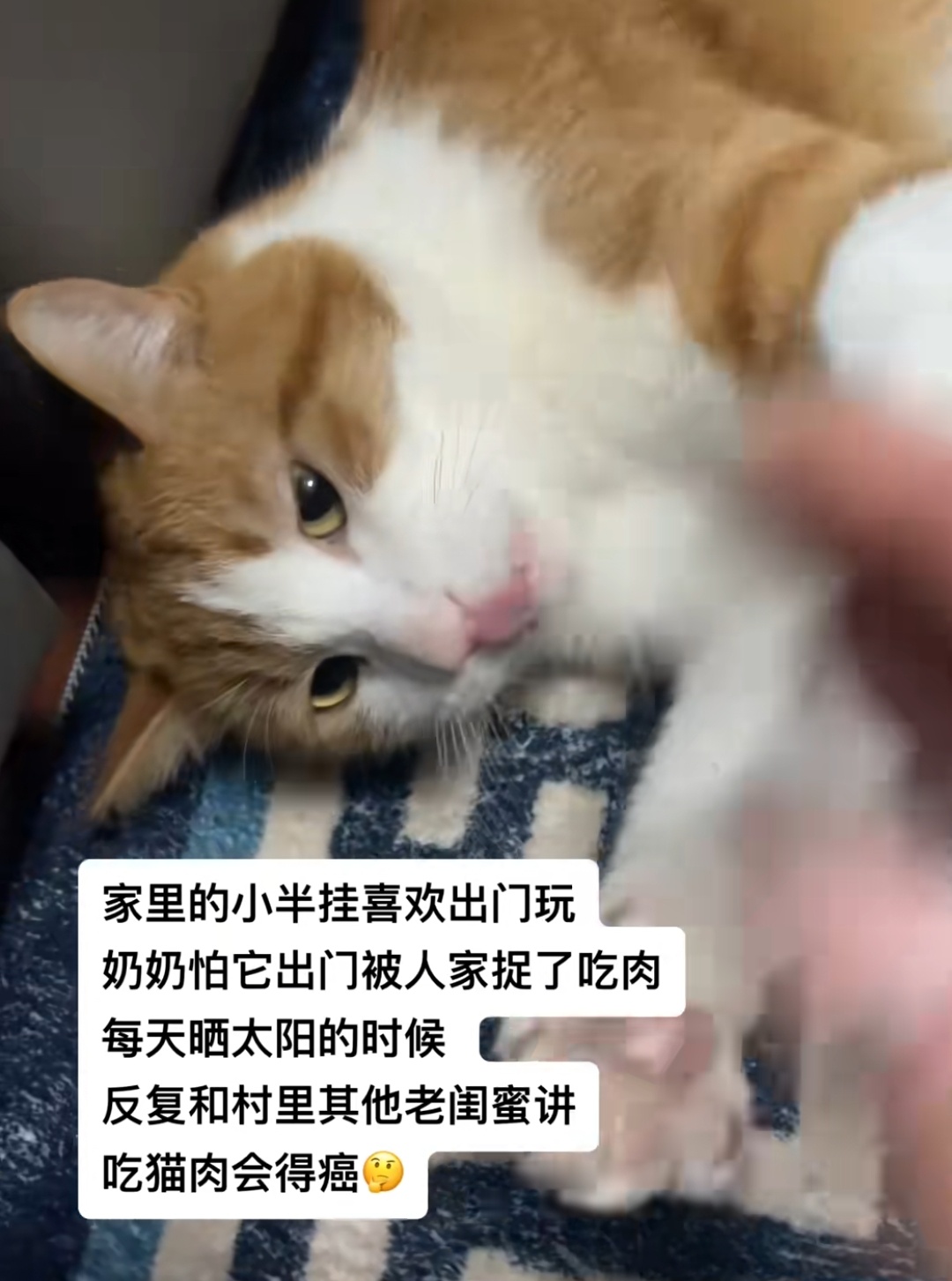 聪明老奶[笑cry] 