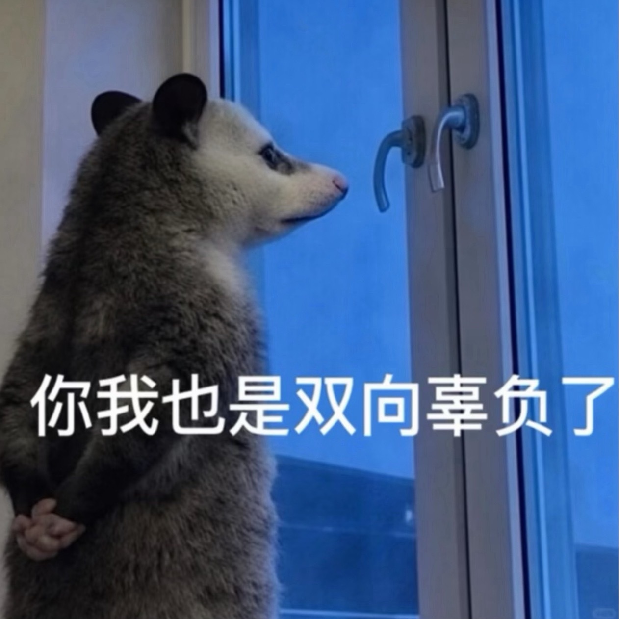 开考前1小时考生身份证丢了，为啥每年都有这种情况，然后每年都不长记性呢…我当年高