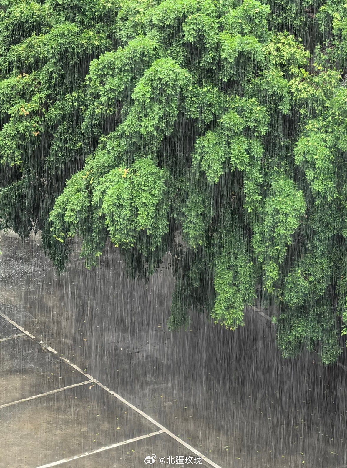 今天的你未必有广西的雨忧郁....... 
