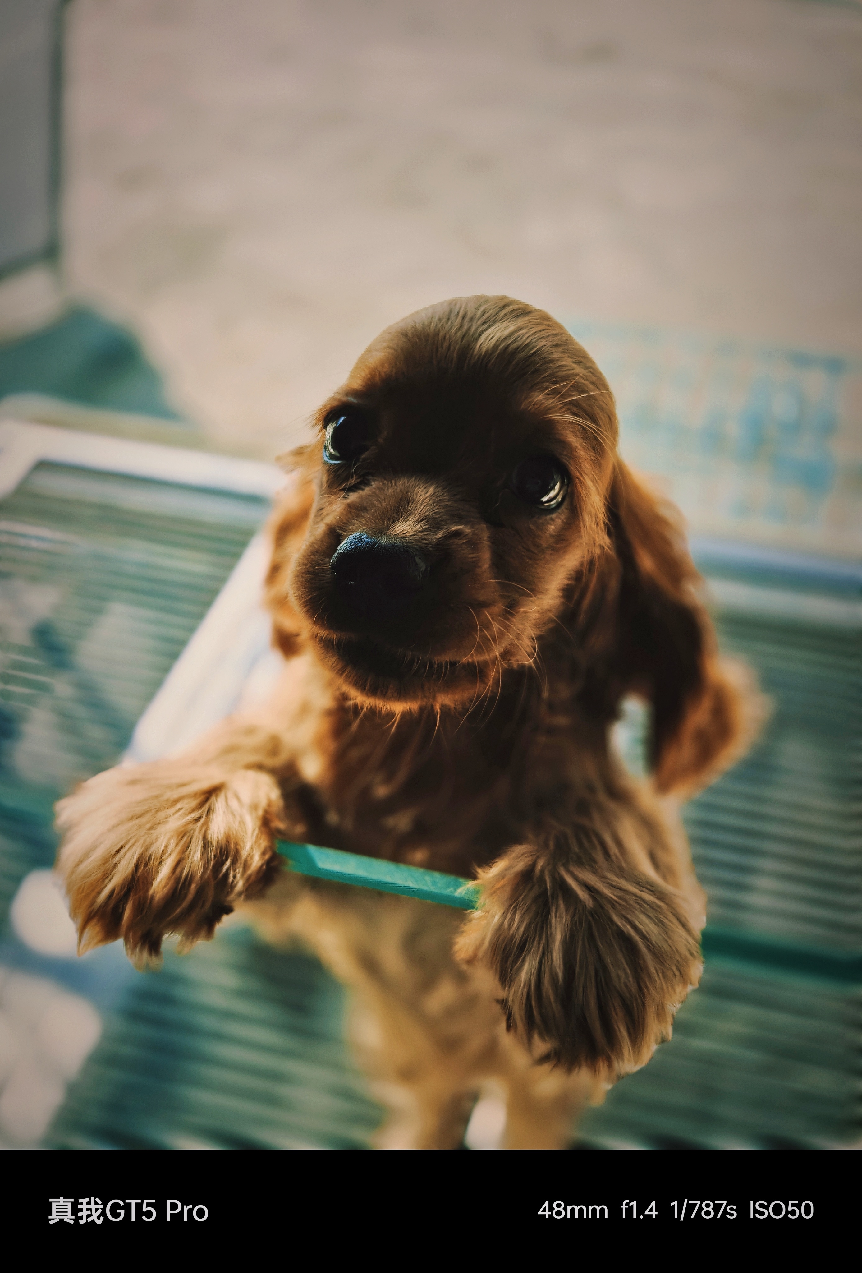 作为realme第一款配备潜望式长焦能力的手机——真我GT5 Pro，『一番战』